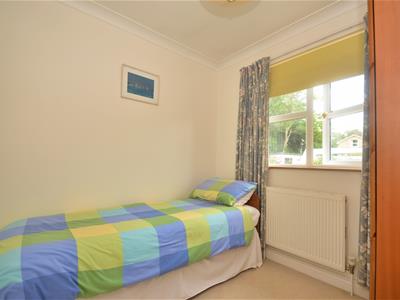 Picture 16